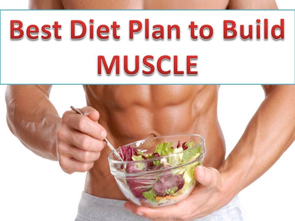 How to Build Muscle