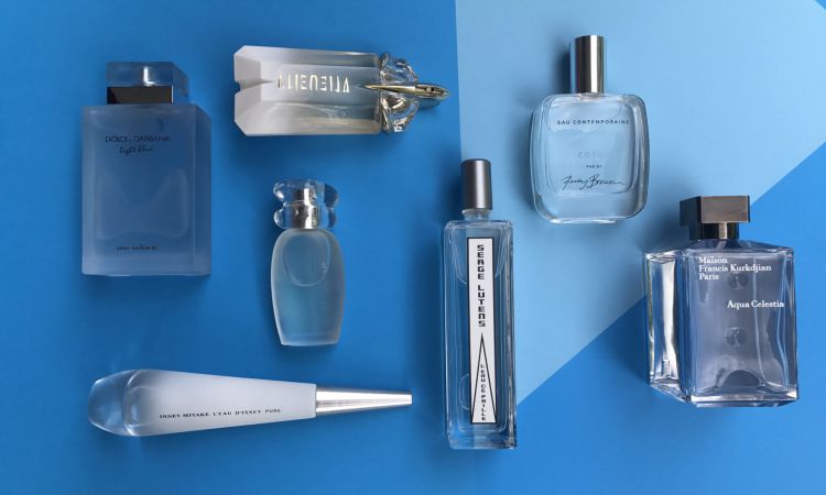 How to Choose the Top Aquatic Perfumes for Women? - Daily Magazines